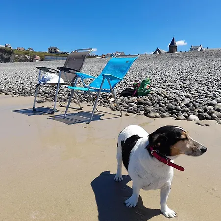 L'albizia A 20m De La 3eme Etage, Renove, 2 Personnes Et Animaux - Wifi *