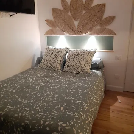 L'albizia à 20m De La 3ème Etage, Rénové, 2 Personnes Et Animaux - Wifi *