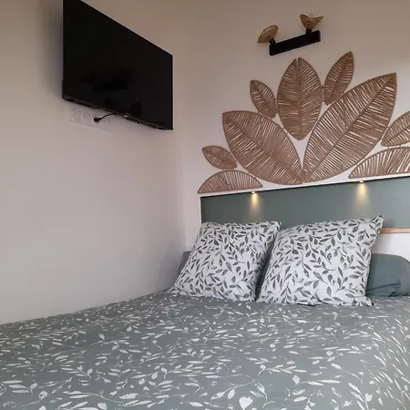 L'albizia à 20m De La 3ème Etage, Rénové, 2 Personnes Et Animaux - Wifi