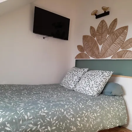 L'albizia A 20m De La 3eme Etage, Renove, 2 Personnes Et Animaux - Wifi Appartement