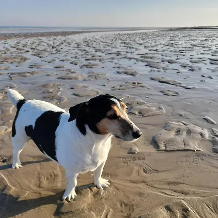 L'albizia à 20m De La 3ème Etage, Rénové, 2 Personnes Et Animaux - Wifi *